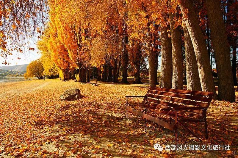 小艾比模仿秀